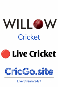 Willow HD
